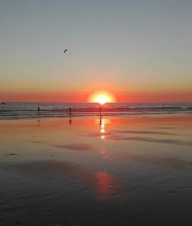 Corazon De Conil Apartment *