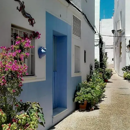 Corazon De Conil *