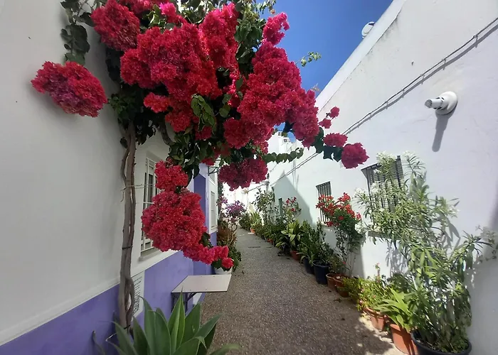 Apartman Corazon De Conil *