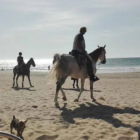 Διαμέρισμα Corazon De Conil Conil De La Frontera