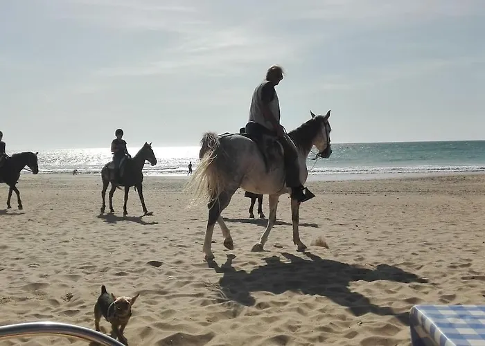 Διαμέρισμα Corazon De Conil Conil De La Frontera