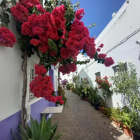 Appartement Corazon De Conil *